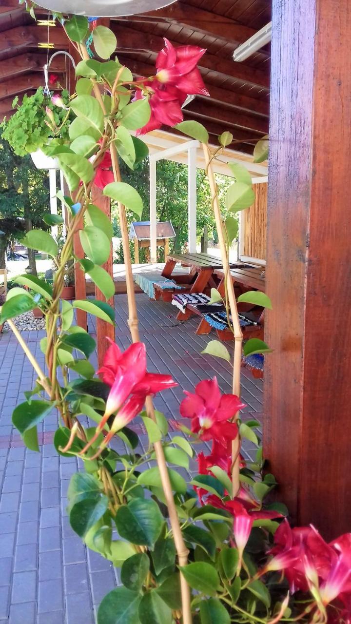 Kristaly Vendeghaz Hotel Bogacs Exterior photo